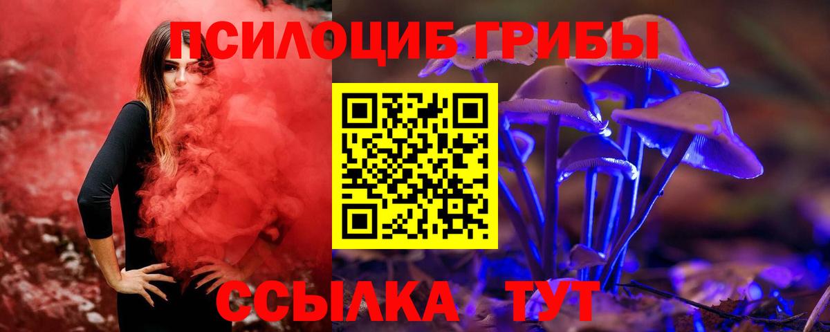 Санкт-Петербург  дарнет шоп  Вход с VPN  Псилоцибиновые грибы MAGIC MUSHROOMS  Псилоцибиновые грибы Psilocybe 